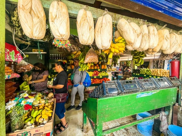 13 Best Things to Do in Downtown Cancun: Attractions + Tips